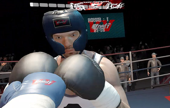Interactive boxing simulation