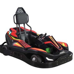 go karts for ages 10 and up