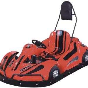entertainment park go karting