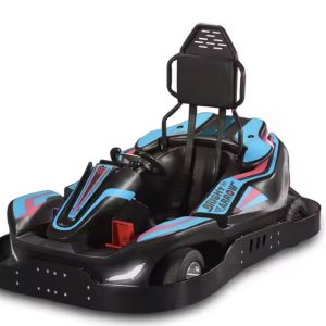 family fun go-karts